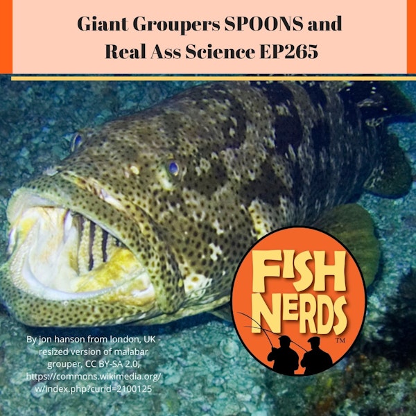 Giant Groupers SPOONS and Real Ass Science EP265