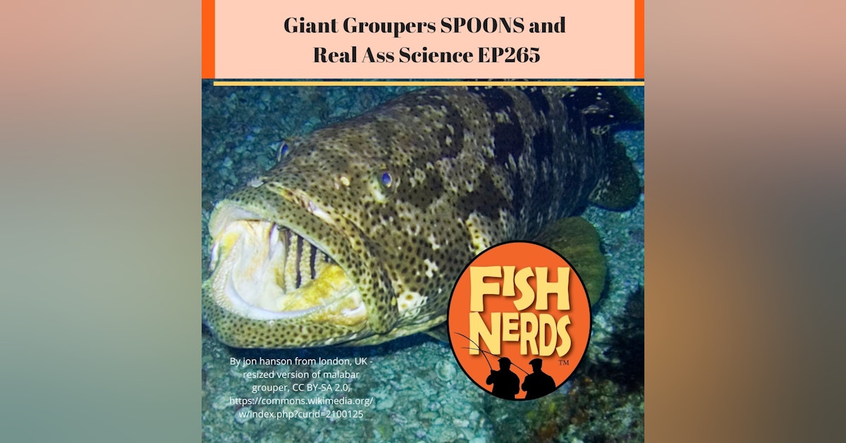 Giant Groupers SPOONS and Real Ass Science EP265