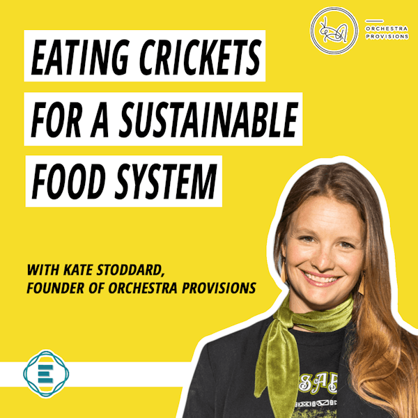 #211 - Eating Crickets: The Key to a Sustainable Food System? with Kate Stoddard of Orchestra Provisions Image