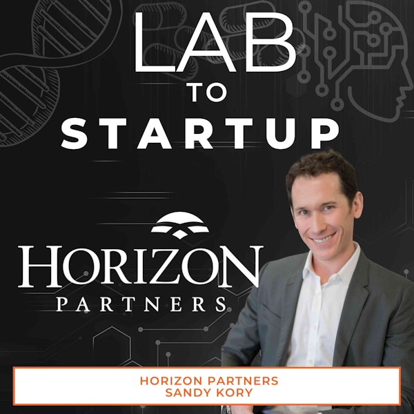 Horizon Partners- M&A for bootstrapped technology companies