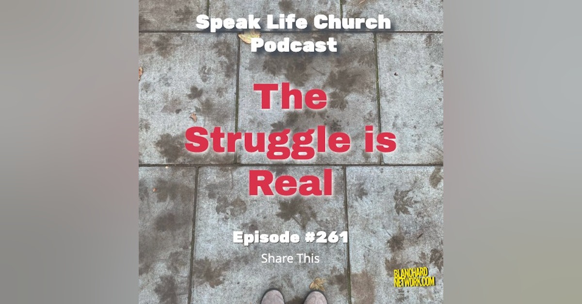 Struggle is Real - Episode 261