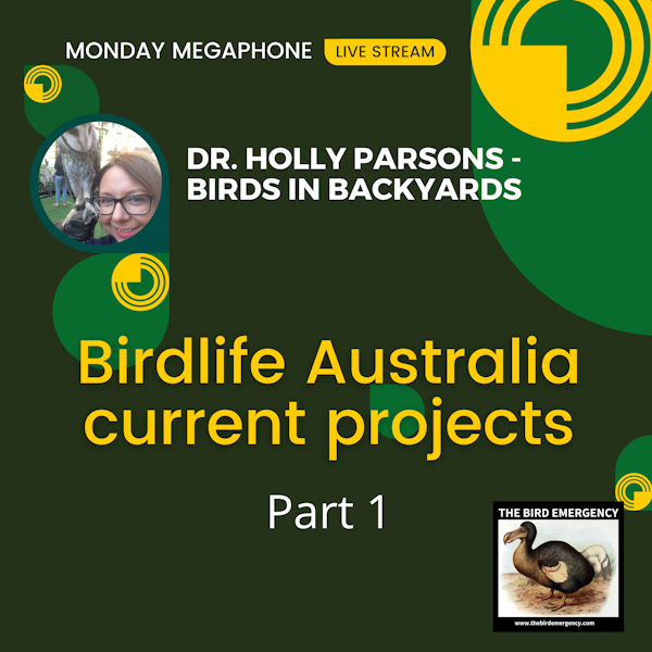 Monday Megaphone  Livestream with Holly Parsons - Birdlife Australia Current Projects March 2022 Part 1 Image