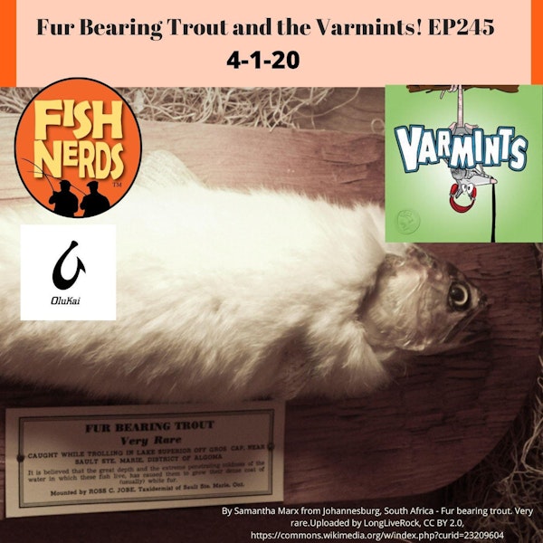 Fur Bearing Trout and the Varmints! EP245