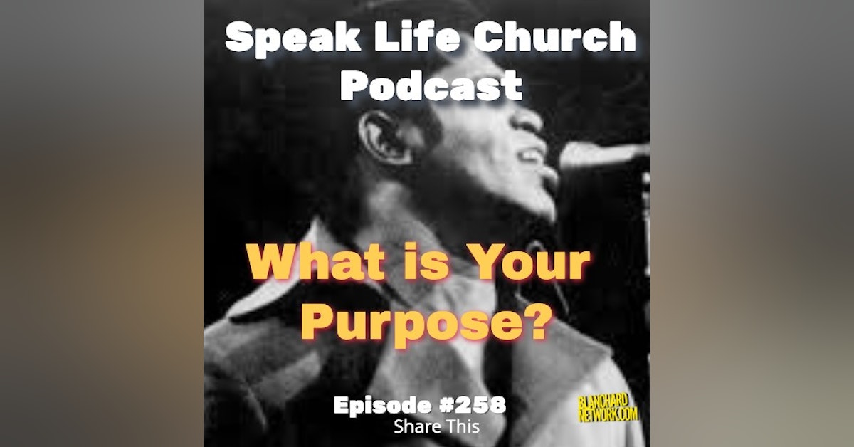 What is Your Purpose?  - episode 258