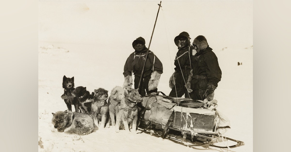 The Mawson Expedition