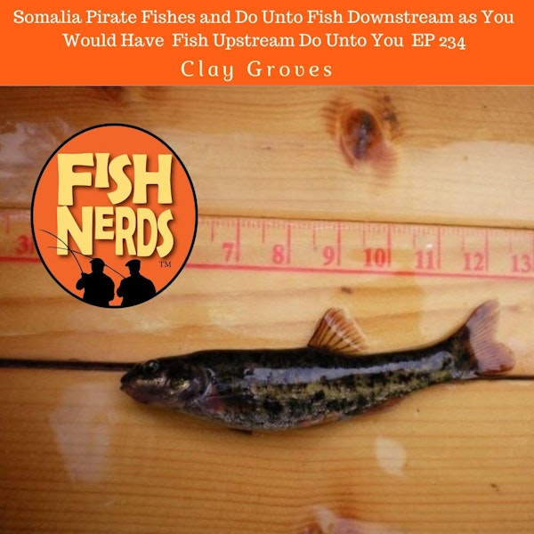Somalia Pirate Fishes and Do Unto Fish Downstream as You Would Have Fish Upstream Do Unto You EP 234