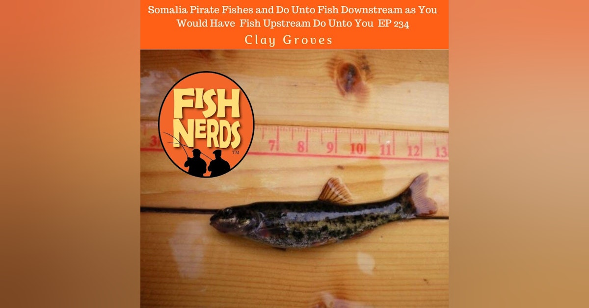 Somalia Pirate Fishes and Do Unto Fish Downstream as You Would Have Fish Upstream Do Unto You EP 234