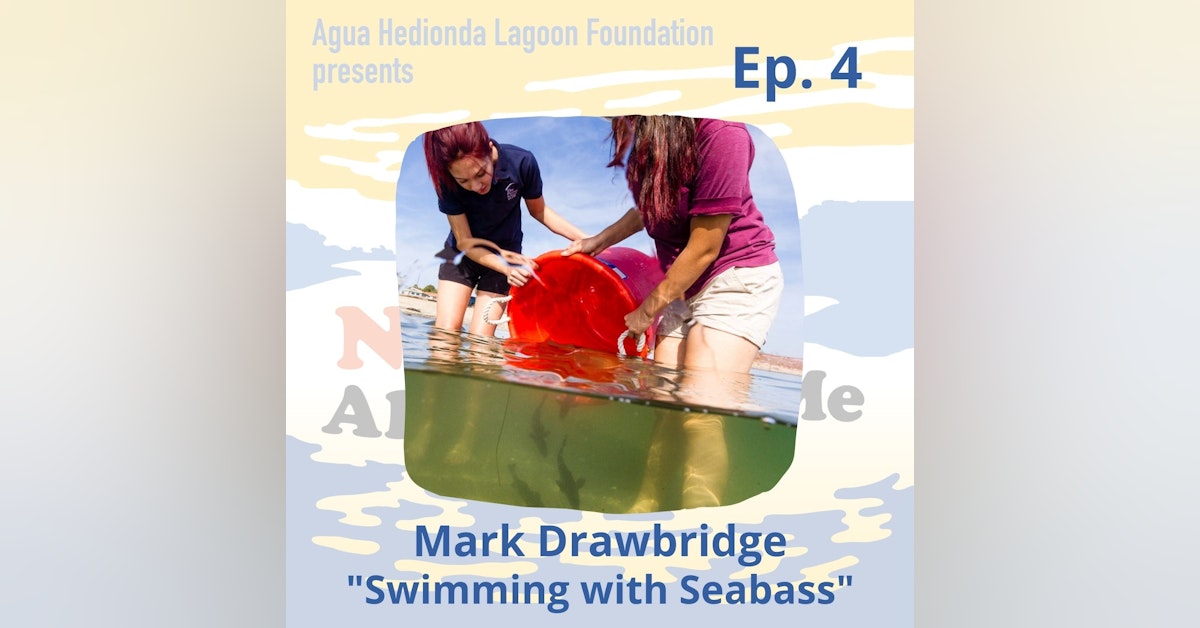 Ep. 4 Mark Drawbridge: Swimming with Seabass
