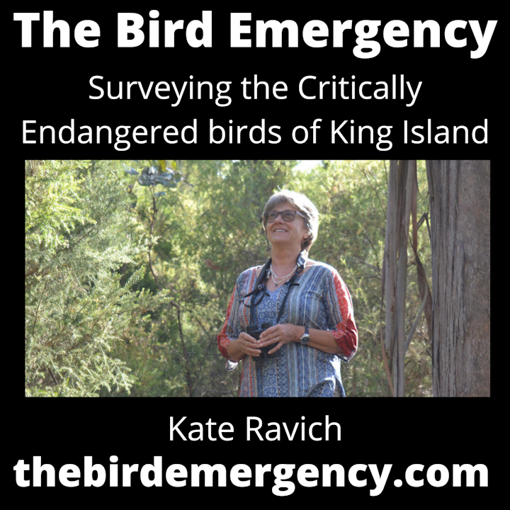 BE 057 The Critically Endangered Birds of King Island
