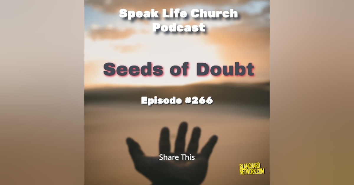 Seeds of Doubt - (266)