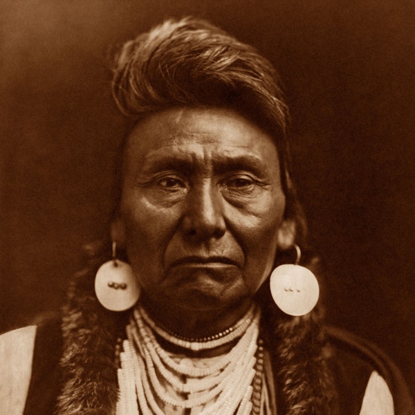 Chief Joseph & the Nez Perce War Image