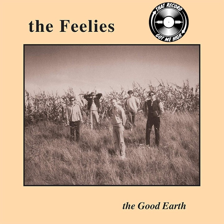 S5E198 - The Feelies 'The Good Earth' with Tom Lawery