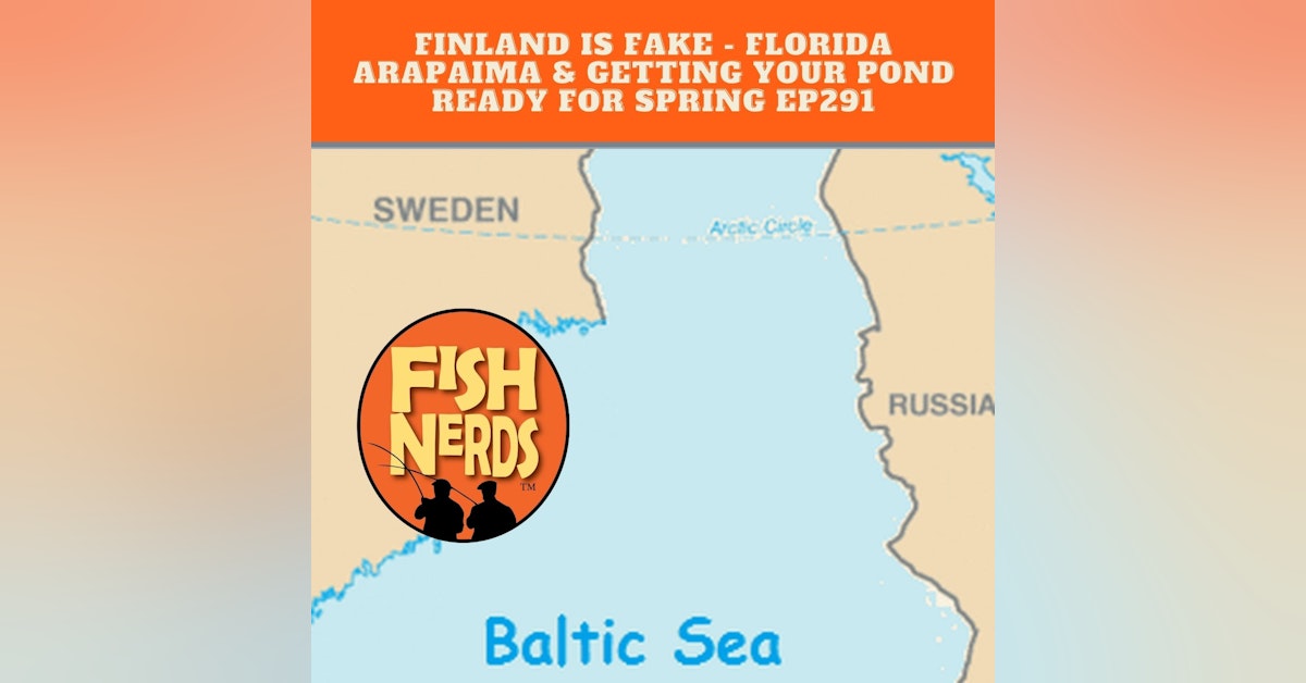 Finland Doesn't Exist Flroida Arapaima & Getting Ponds Ready for Spring EP291