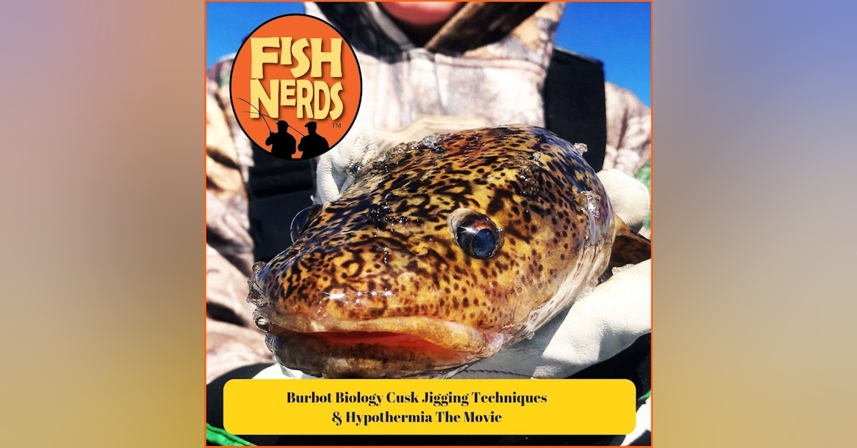 Burbot Biology Cusk Jigging Techniques and Hypothermia The Movie