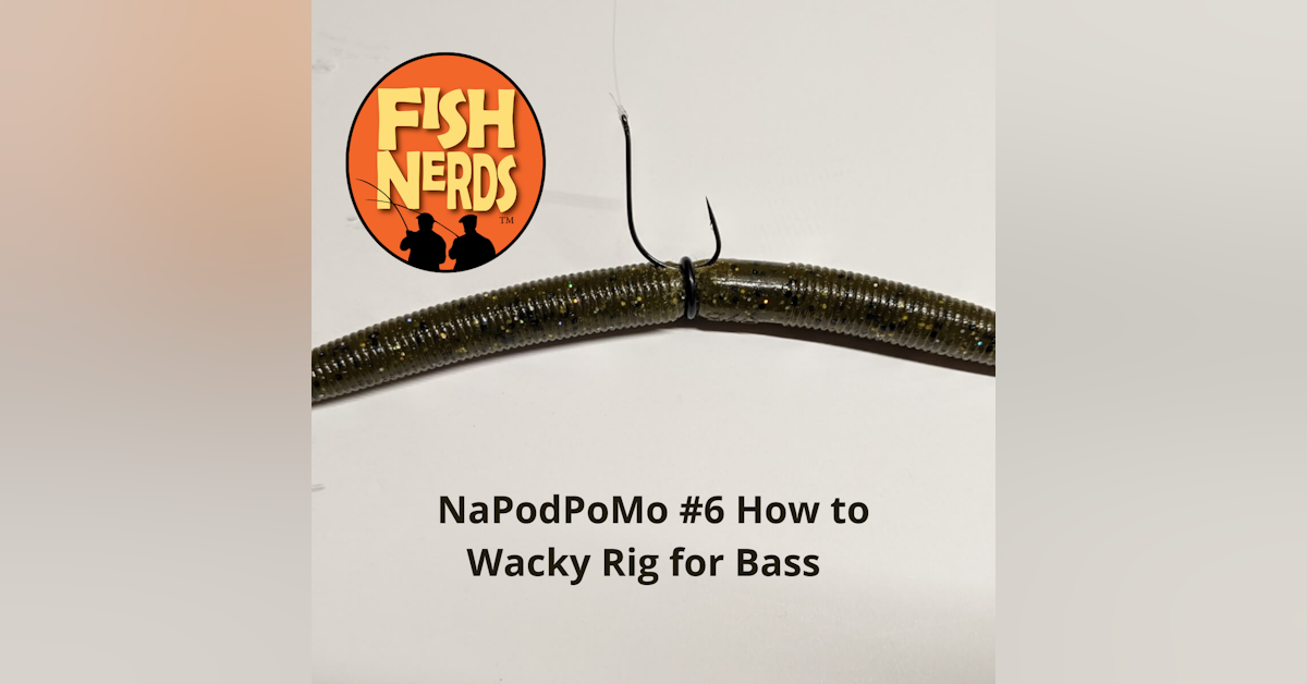 NaPodPoMo 6 How to Wacky Rig for Bass