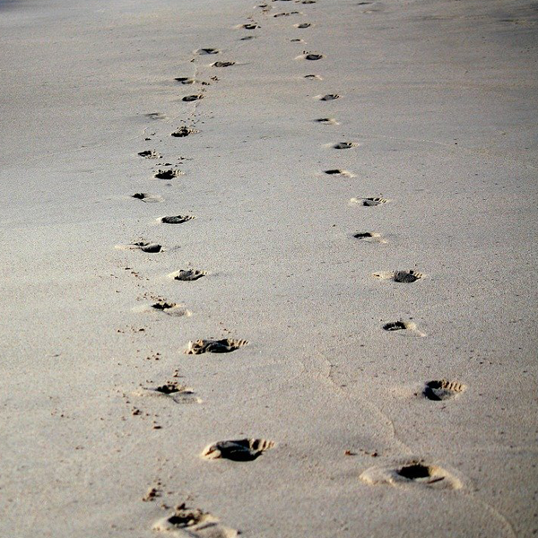 Episode 578: Footprints Image