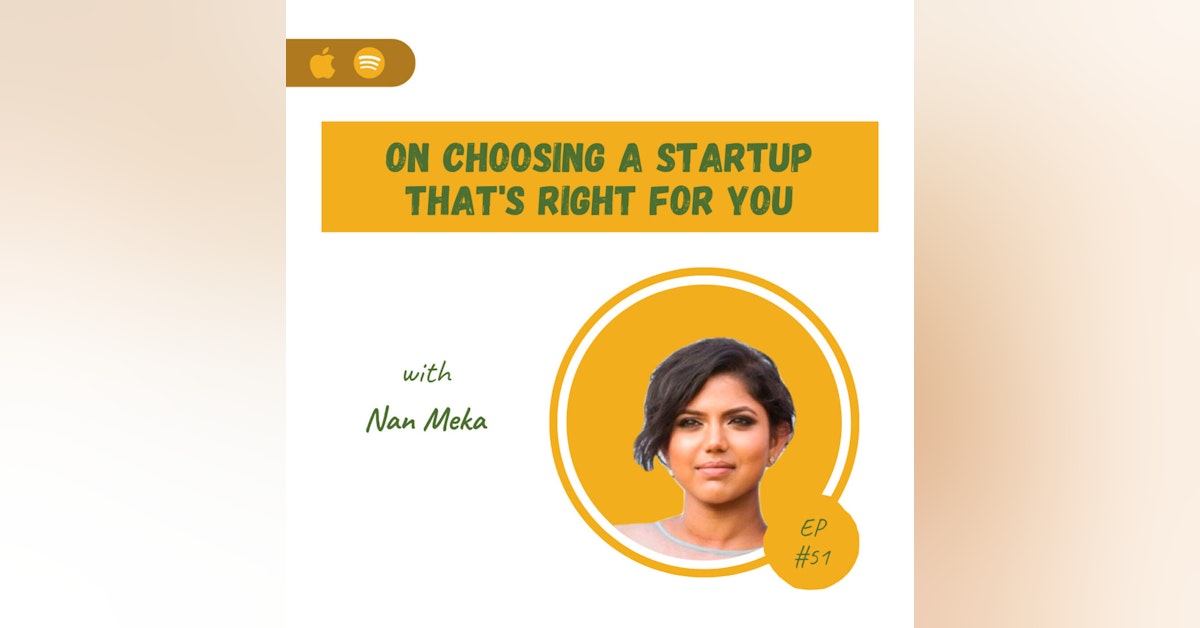 Nan Meka | On Choosing a Startup That's Right For You