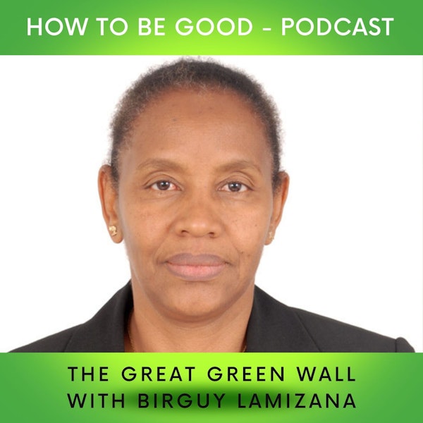 The Great Green Wall: we talk to Birguy Lamizana
