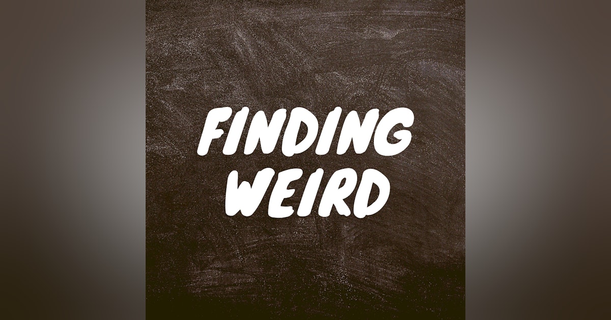Episode 2 - What's Weird Anyways?