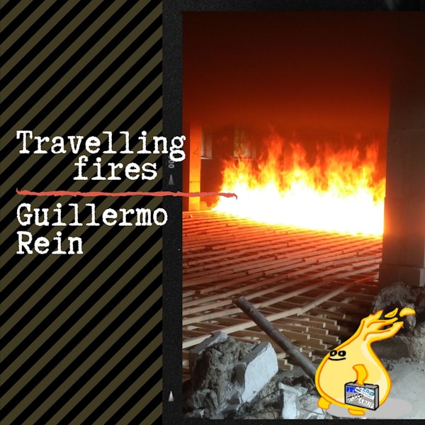 027 - Travelling fires with Guillermo Rein