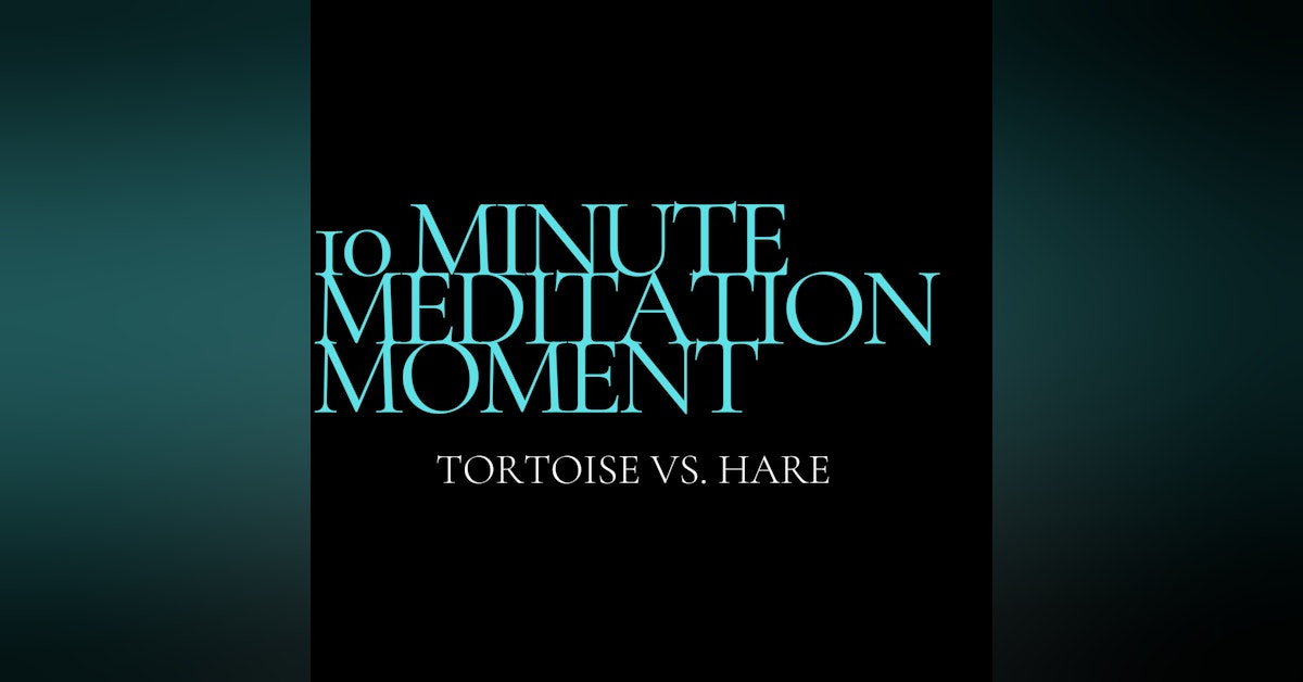 10 Minute Meditation Moment - Tortoise Vs. Hare