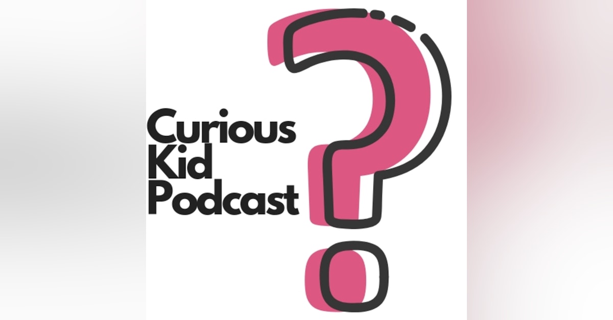 Curious About Butterflies | Curious Kid Podcast
