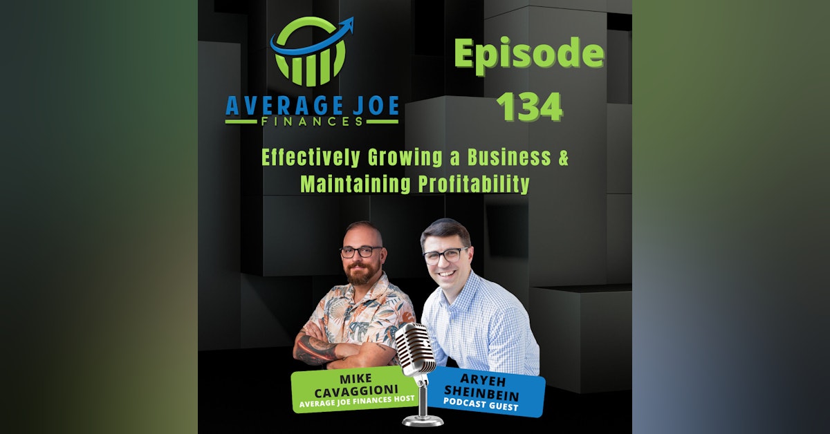 134. Effectively Growing a Business & Maintaining Profitability with Aryeh Sheinbein