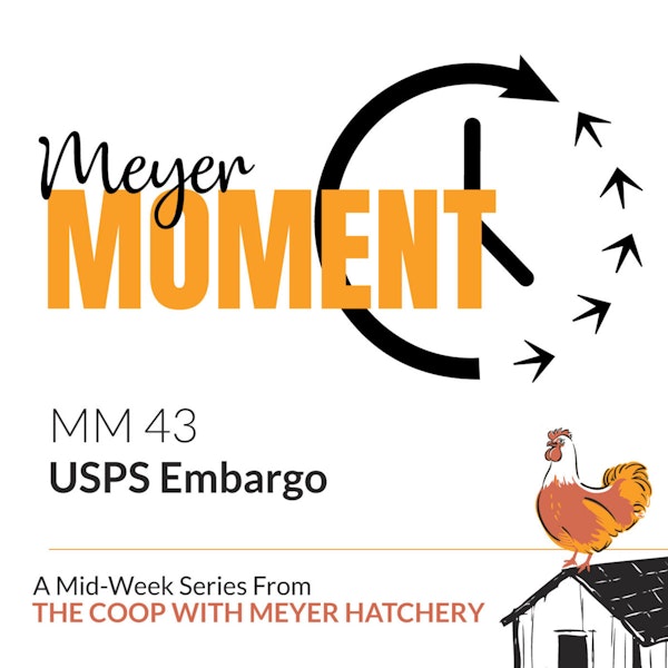Meyer Moment: USPS Embargo Image
