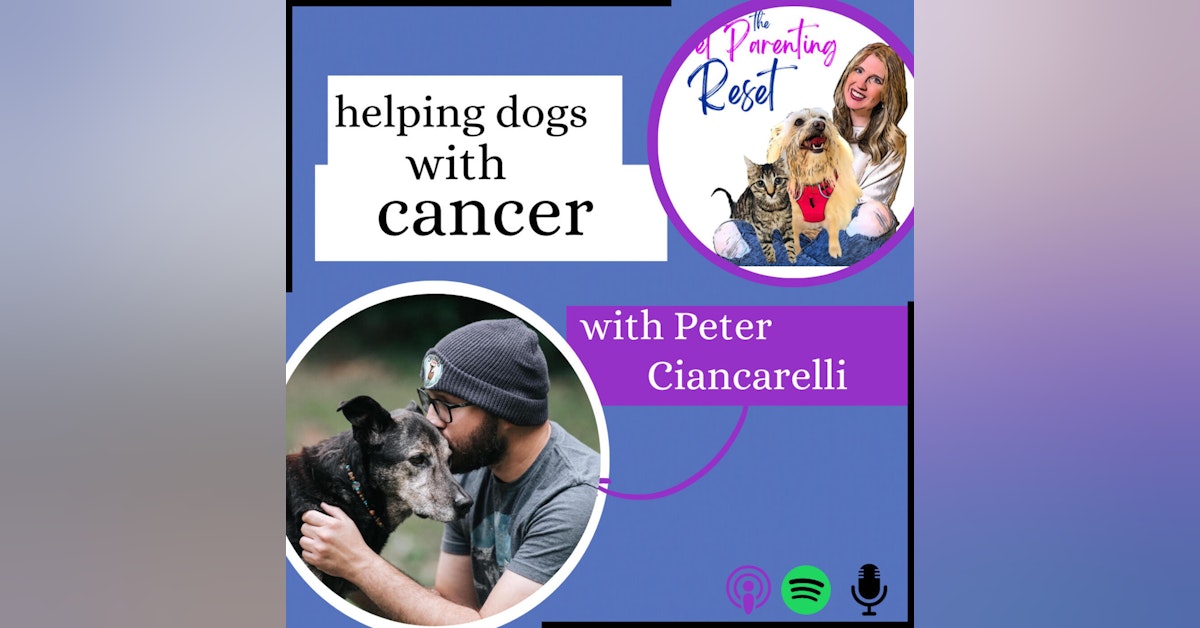 67. Helping Pets and their parents with Cancer