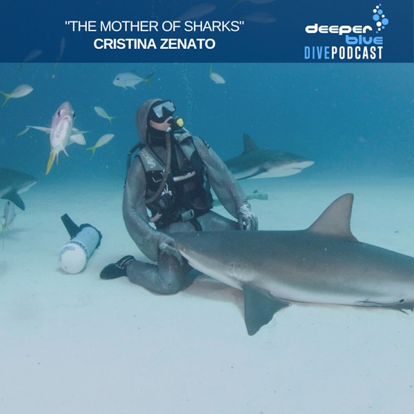 Cristina Zenato the "Mother of Sharks" on the trust she places in her children, and Jennifer Idol on how the best underwater camera might just be in your pocket Image