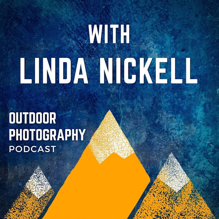 Finding Inspiration in the Texas Landscape With Linda Nickell