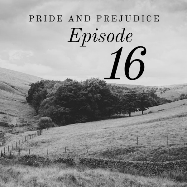 Pride and Prejudice | 16. How Despicably Have I Acted!
