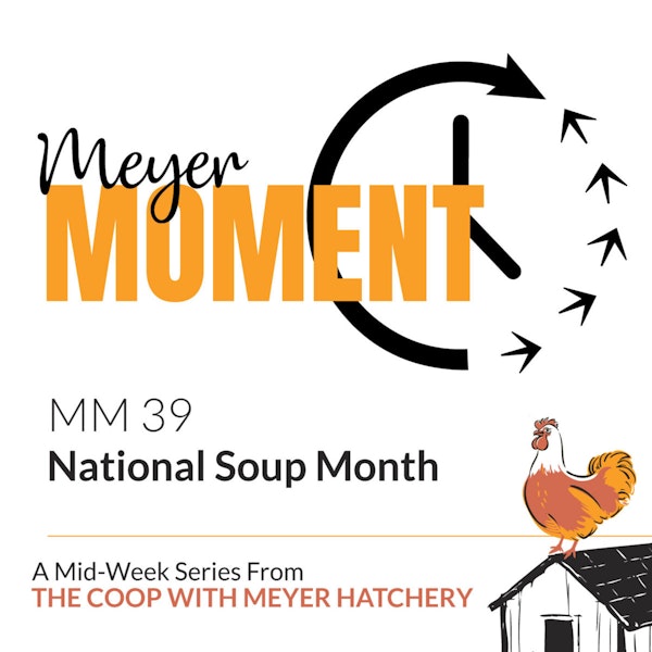 Meyer Moment: National Soup Month Image