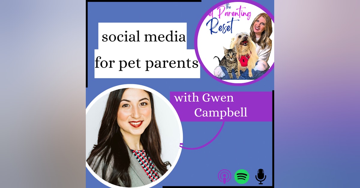 64. The BEST Way To Consume Short Form Content As A Pet Parent