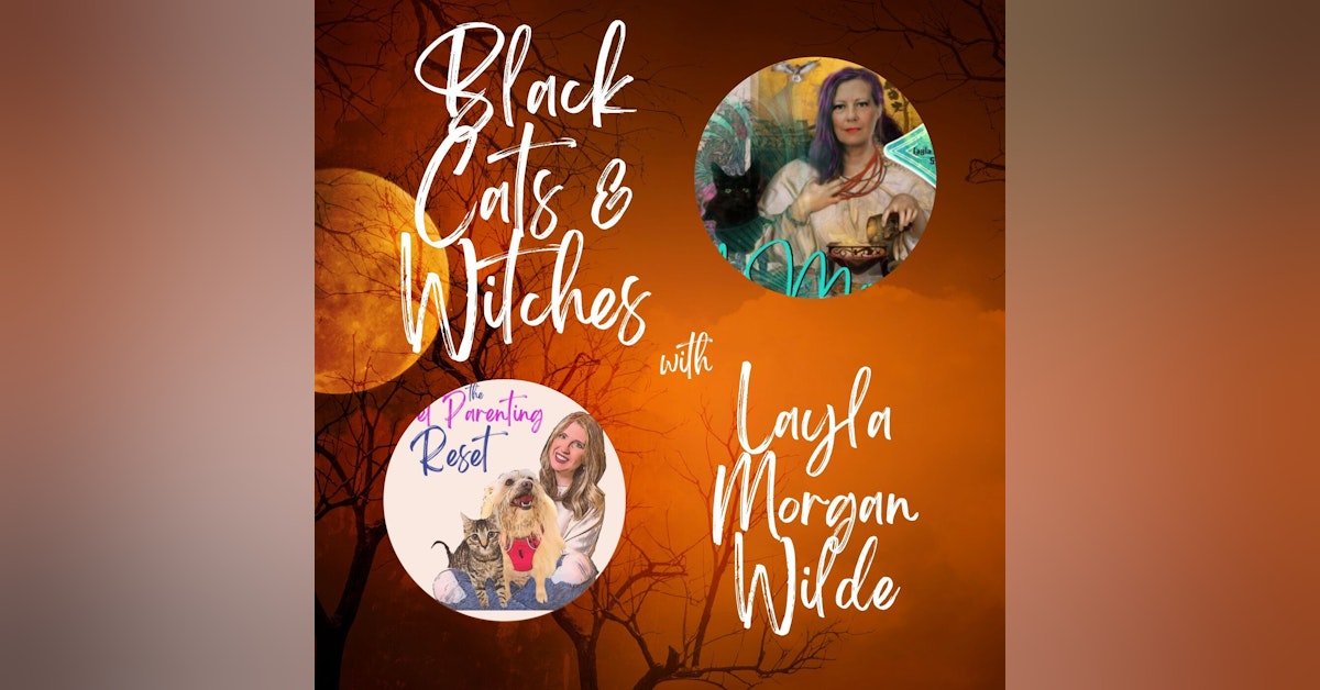 Black Cats & Witches Halloween Special with Layla Morgan Wilde