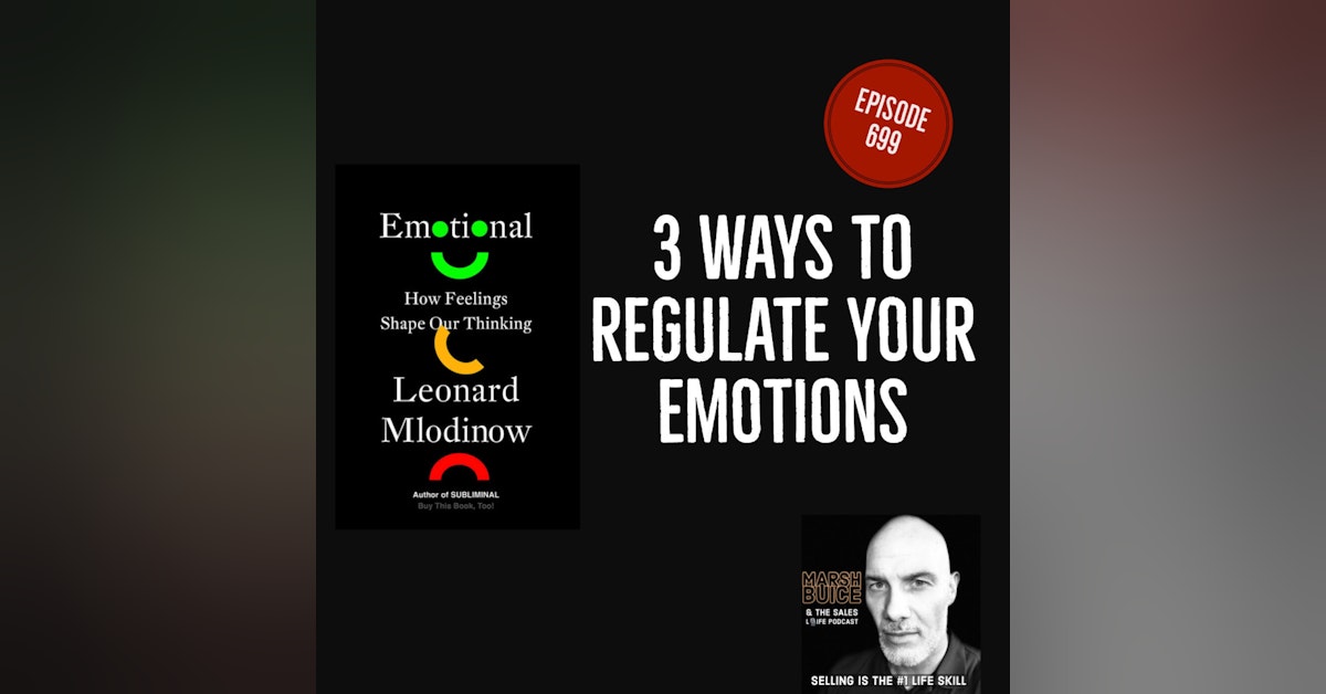 699. Lead Better & Live Longer. | Three Ways To Regulate Your Emotions.