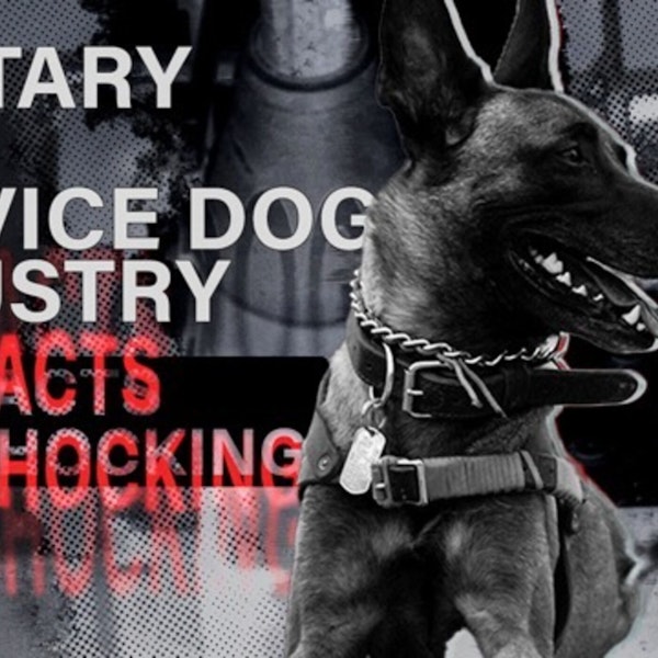 EP28: Military Working Dogs and Service Dogs - The FACTS Image
