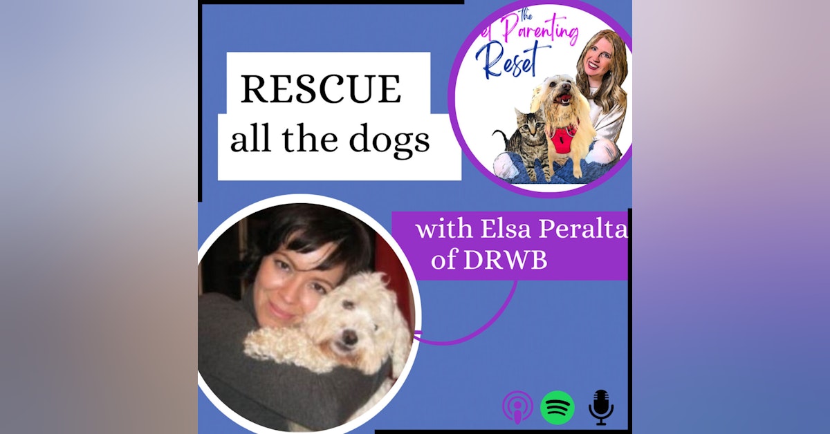 74. The Other Side Of Rescue with Elsa Peralta from Dog Rescue Without Borders
