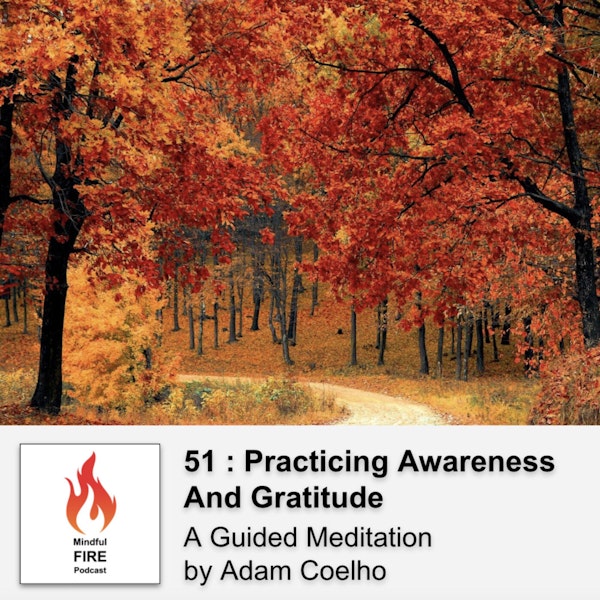 51 : Meditation : Practicing Awareness & Gratitude