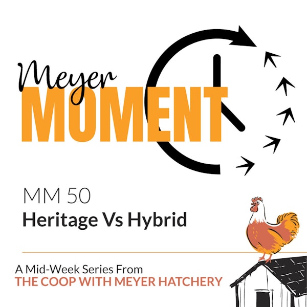 Meyer Moment: Heritage Vs Hybrid Image