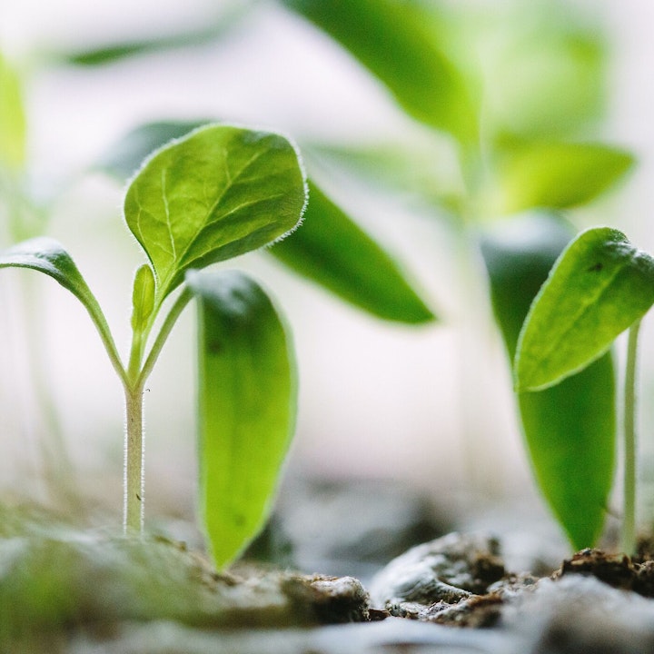 3 Keys to Sustainable Growth