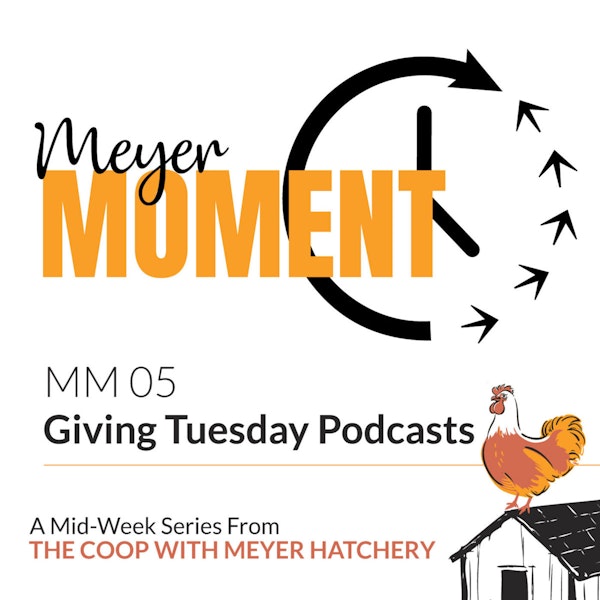 Meyer Moment: Giving Tuesday Podcasts Image