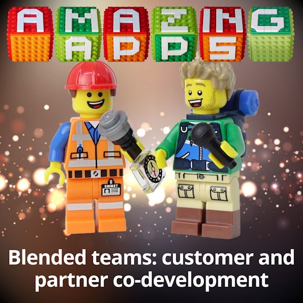Blended teams: customer and partner co-development