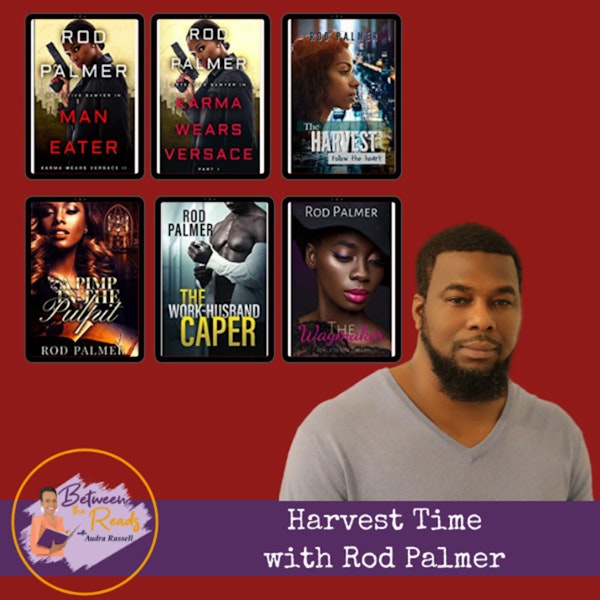 Harvest Time: Book Chat with Rod Palmer Image
