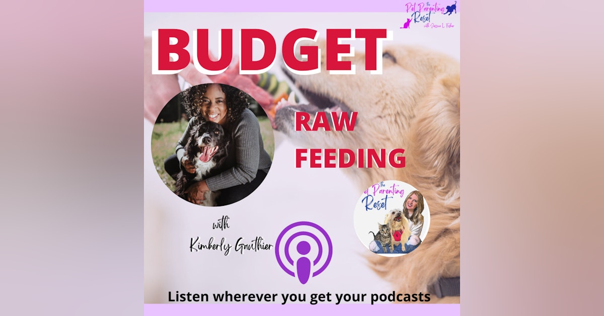 How To NOT Break The Bank When Feeding Your Dog with Kimberly Gauthier of Keep The Tail Wagging, episode 20