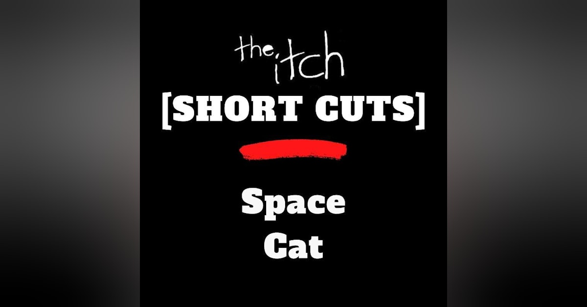 [Short Cuts] Space Cat
