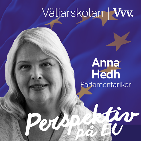 11. [Valspecial] Om hur EU-parlamentet funkar i praktiken - med parlamentariker Anna Hedh[ Image