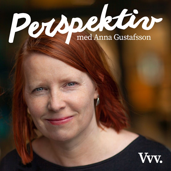 10. Om vad som egentligen är problemet med nya Karolinska - med journalist Anna Gustafsson Image