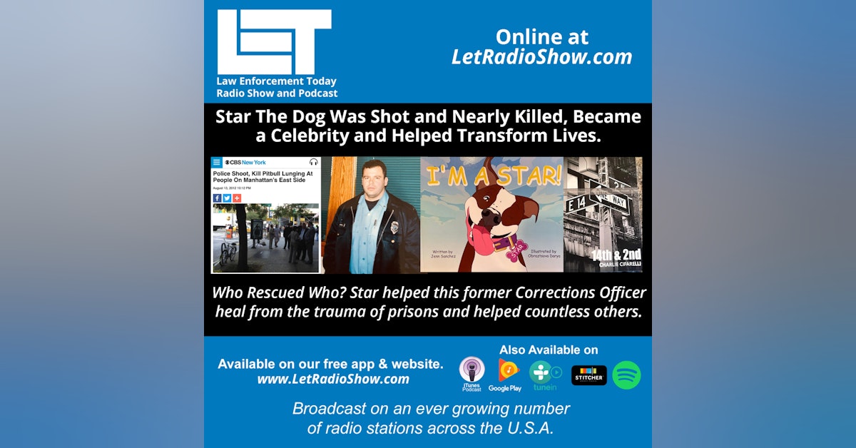 S6E14: Star The Dog Was Shot and Nearly Killed, Became  a Celebrity and Helped Transform Lives.